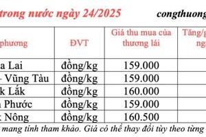 Giá tiêu hôm nay 24/3/2025 trong nước duy trì mức cao