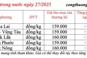 Giá tiêu hôm nay 27/3/2025: Giá trong nước tăng cao