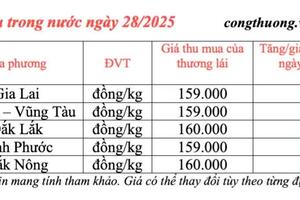 Giá tiêu hôm nay 28/3/2025, trong nước cao nhất 160.000 đồng/kg