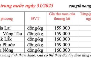 Giá tiêu hôm nay 31/3/2025, thị trường neo ở mức cao