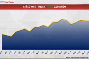 Giá cà phê Robusta giảm sâu về mức 5.337 USD/tấn