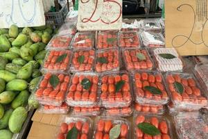 Nhót 'nhuộm đỏ' thị trường, dân thủ phủ đua nhau 'hái bạc'