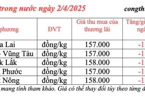 Giá tiêu hôm nay 2/4/2025, thị trường cao nhất 158.000 đồng/kg