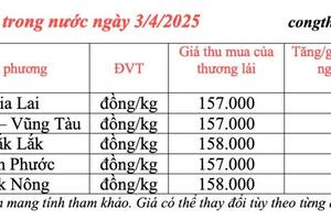 Giá tiêu hôm nay 3/4/2025, thị trường duy trì mức cao