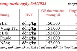 Giá tiêu hôm nay 5/4/2025, thị trường trong nước lao dốc