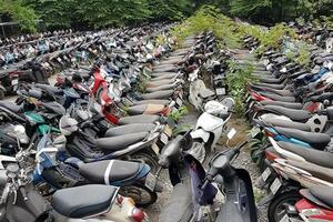 Bạc Liêu: Đấu giá lô 367 xe máy vi phạm bị tịch thu