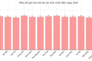 Giá heo hơi hôm nay 16/4/2025: Đồng loạt tăng giá