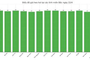 Giá heo hơi hôm nay 22/4/2025: Miền Trung, miền Nam tăng mạnh