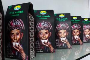 Chè Shan tuyết Hà Giang: ‘Mạch nguồn xanh’ giúp đồng bào Dao thoát nghèo