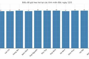 Giá heo hơi hôm nay 12/5/2025: Miền Nam giảm nhẹ