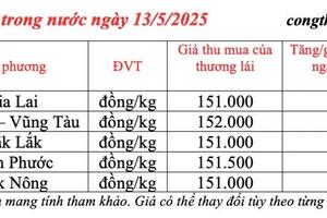 Giá tiêu hôm nay 13/5/2025, thị trường ổn định ở mức cao