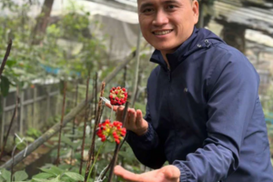 Tổng Giám đốc Lê Đức Tài: Từ kỹ sư xây dựng đến hành trình khôi phục tinh hoa y học cổ truyền Việt Nam