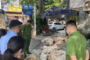 Vĩnh Phúc: Liên tiếp phát hiện vi phạm về an toàn thực phẩm