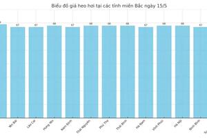 Giá heo hơi hôm nay 15/5/2025: Cao nhất 75.000 đồng/kg