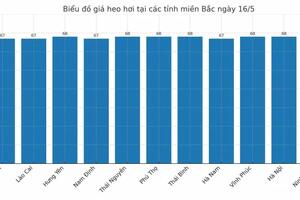 Giá heo hơi hôm nay 16/5/2025: Miền Nam tăng nhẹ