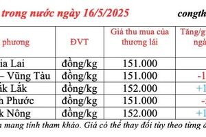 Giá tiêu hôm nay 16/5/2025, trong nước tăng giảm đan xen
