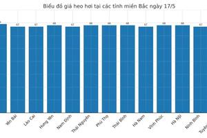 Giá heo hơi hôm nay 17/5/2025: Miền Nam tiếp đà tăng nhẹ