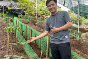 Kỹ sư bỏ công trường về vùng núi giúp bà con phát triển nguồn dược liệu