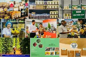 Đắk Nông: Nông sản vươn xa nhờ thương mại điện tử