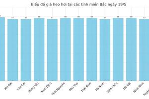 Giá heo hơi hôm nay 19/5/2025: Miền Trung, miền Nam giảm nhẹ