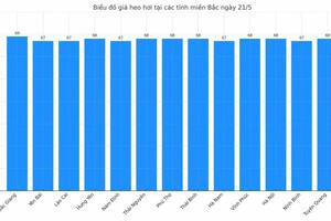 Giá heo hơi hôm nay 21/5/2025: Thấp nhất 67.000 đồng/kg