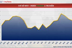 Giá ngô tăng mạnh hơn 1,5% lên 178 USD/tấn