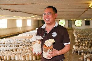 Hướng đi nào cho nấm hữu cơ Việt?