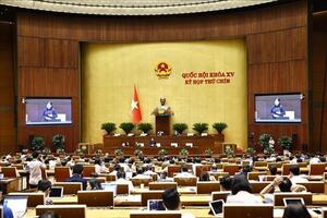 Quốc hội thảo luận về miễn, hỗ trợ học phí đối với trẻ em mầm non, học sinh phổ thông