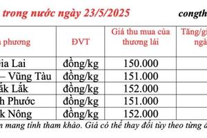 Giá tiêu hôm nay 23/5/2025: thị trường cao nhất 152.000 đồng/kg