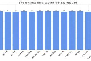Giá heo hơi hôm nay 23/5/2025: Miền Bắc quay đầu giảm nhẹ