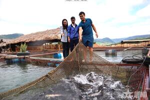 Nậm Nhùn vươn lên nhờ nông, lâm nghiệp