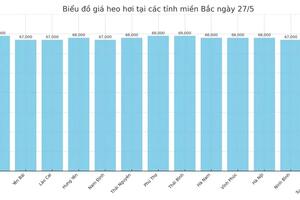 Giá heo hơi hôm nay 27/5/2025: Bật tăng ở cả ba miền