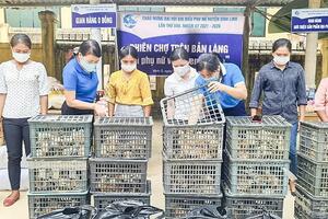 Sản vật vùng cao Quảng Trị: 'Đánh thức' những giấc mơ sau lưng núi