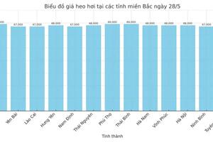 Giá heo hơi hôm nay 28/5/2025: Cao nhất 76.000 đồng/kg