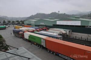 Ưu tiên thông quan ngay nông lâm thủy sản xuất khẩu