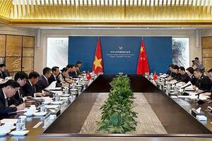 Sẽ thiết lập cơ chế luồng xanh cho trái cây vào vụ