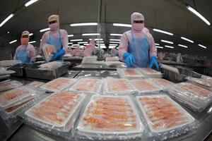 Thực thi CPTPP: Ứng phó phòng vệ, tạo đà xuất khẩu