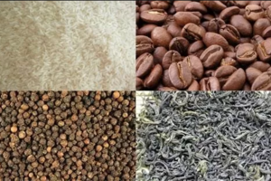 Cơ hội xuất khẩu nông sản vào Algeria và Tunisia