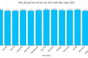 Giá heo hơi hôm nay 29/5/2025: Miền Nam tăng nhẹ