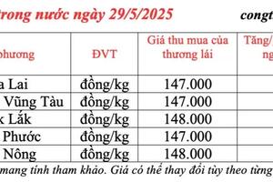 Giá tiêu hôm nay 29/5/2025: thị trường xuất khẩu giảm mạnh