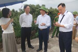 Thương nhân trong và ngoài nước đổ về vườn vải thiều Bắc Giang