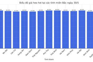 Giá heo hơi hôm nay 30/5/2025: Miền Bắc, miền Nam tăng nhẹ