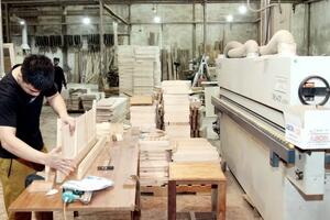 Vĩnh Phúc: Đẩy mạnh khuyến công, phát triển công nghiệp nông thôn