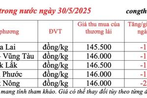 Giá tiêu hôm nay 30/5/2025: trong nước biến động giảm