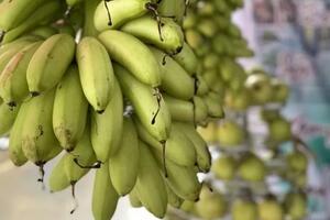 Chuối ngự, thanh long Bảo Yên được cấp nhãn hiệu chứng nhận