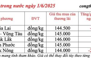 Giá tiêu hôm nay 1/6/2025: thị trường Đắk Nông giảm mạnh
