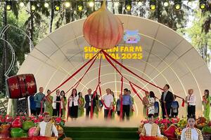 “Săn” trái cây giá rẻ tại Lễ hội trái cây Nam Bộ