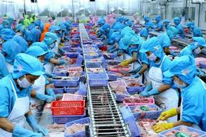 Kiên Giang: Công nghiệp khởi sắc, thương mại bùng nổ trong tháng 5/2025