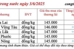 Giá tiêu hôm nay 3/6/2025: trong nước tăng trở lại