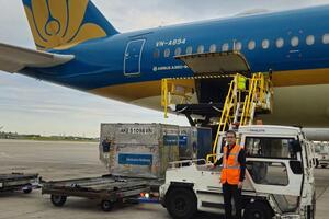 Không chỉ xuất khẩu, EVFTA giúp định danh nông sản Việt tại Pháp